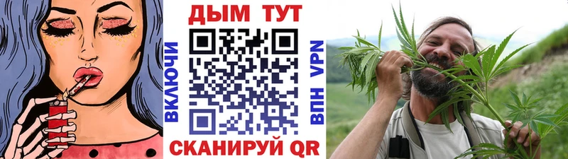 Бошки Шишки сатива  купить наркоту  Бабушкин 